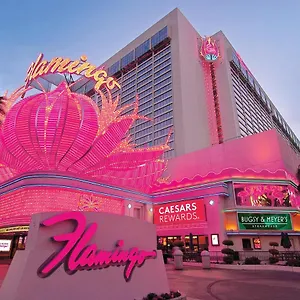 Flamingo Vegas & Casino Resort Las Vegas